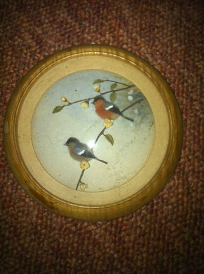 Bullfinches (5-inch)